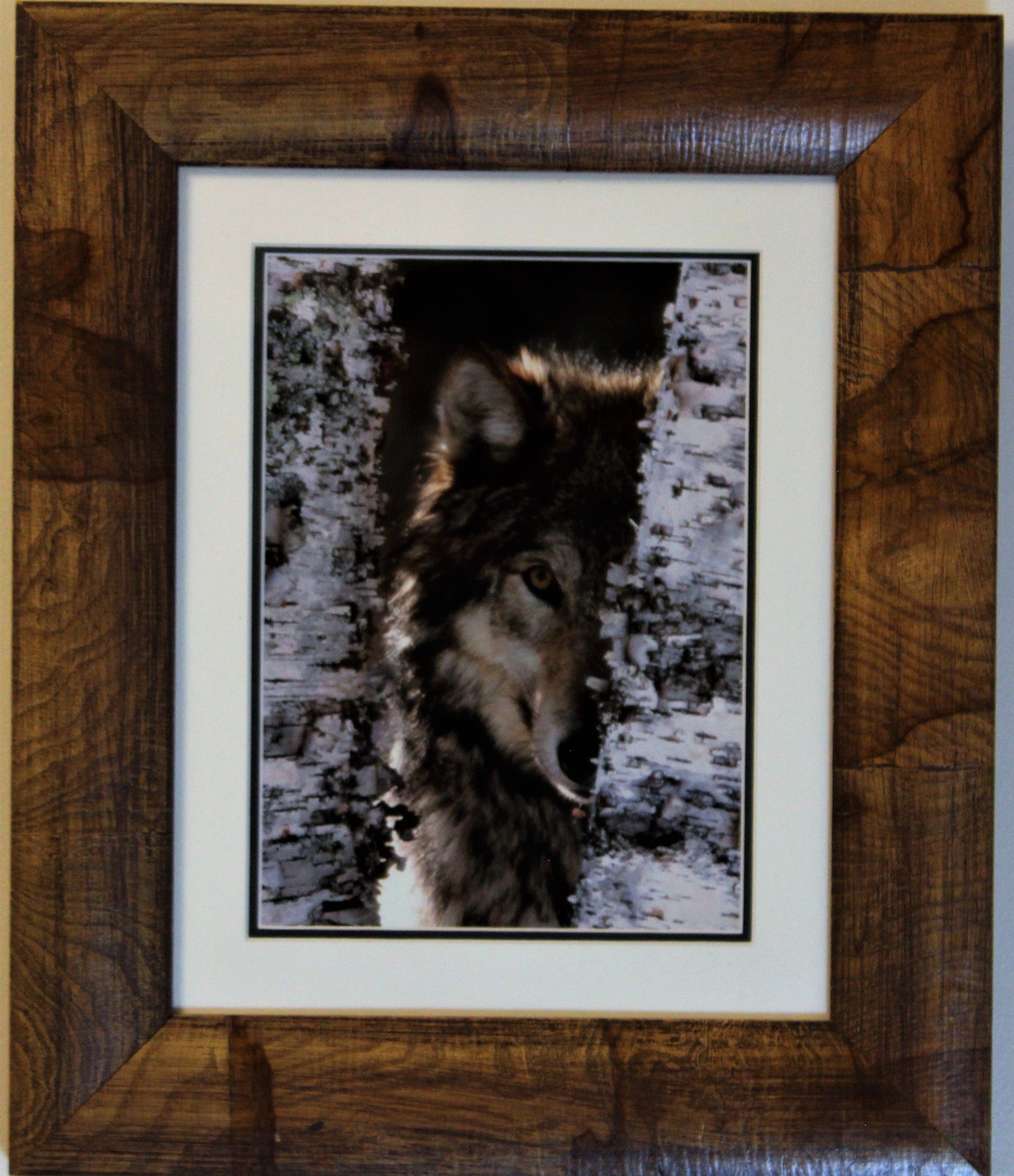 Framed Wolf Photograph