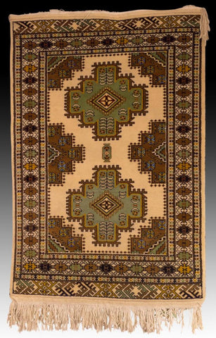 Persian Hand Woven Wool Rug